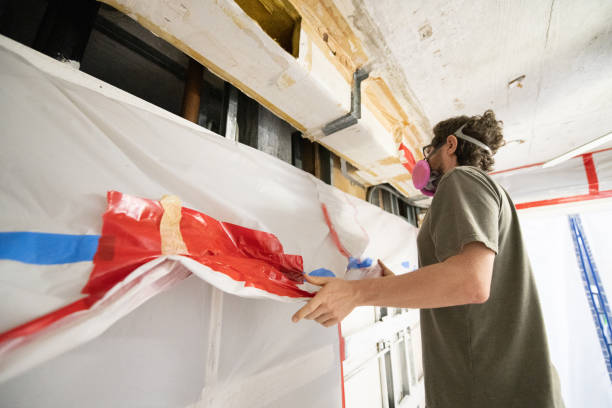 Reliable Siena College, NY Mold Removal Solutions