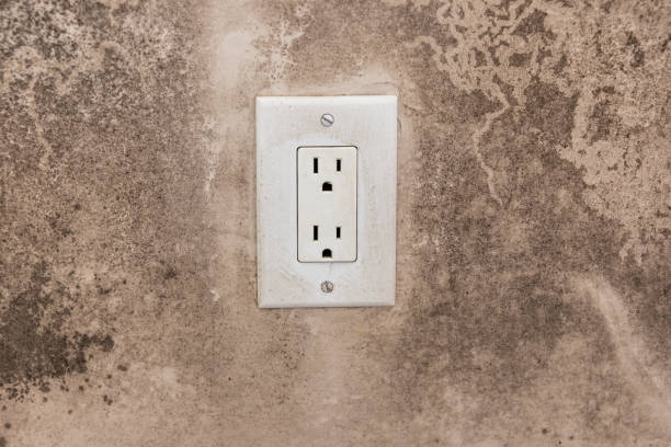 Best Commercial Mold Inspection  in Siena College, NY
